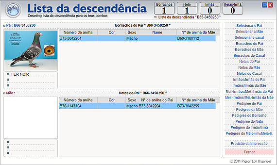 Análise da descendência