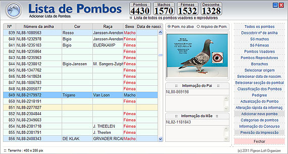 Listagens dos pombos