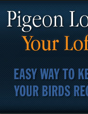 Pigeon Loft Organizer - Your way to success !