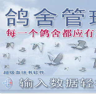 超级血统书软件