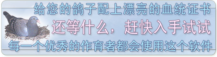 信鸽血统记录册!