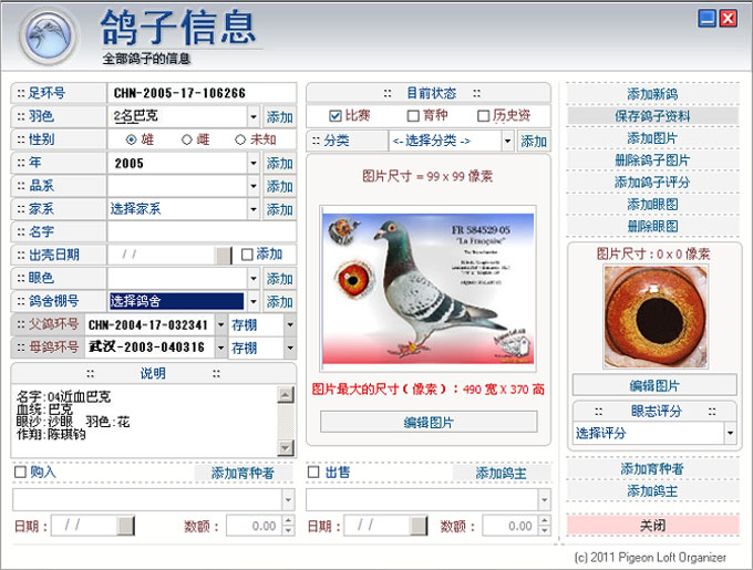 荷兰哈根斯兄弟赛鸽血统书