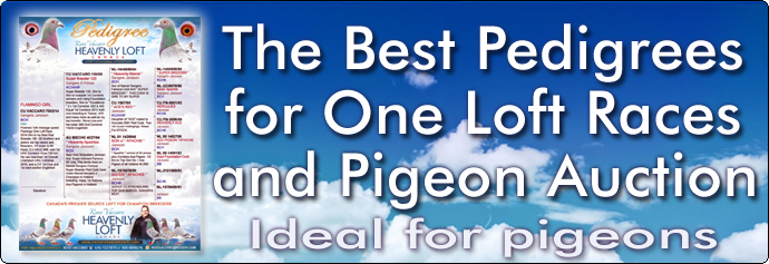 download one loft race pigeon pedigree software!