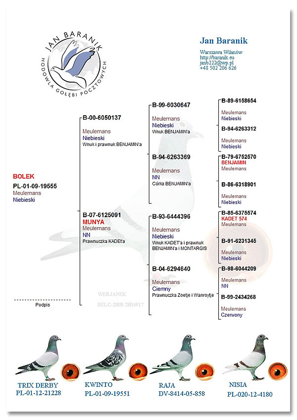 pigeon pedigrees are essential to enable accurate pigeon record keeping