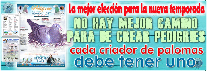 El mejor software para colombófilo paloma mensajera