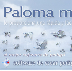 Una plantilla con pedigrí para paloma mensajera