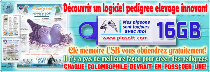 logiciel de visualisation du pedigree de votre pigeon grace à sa généalogie