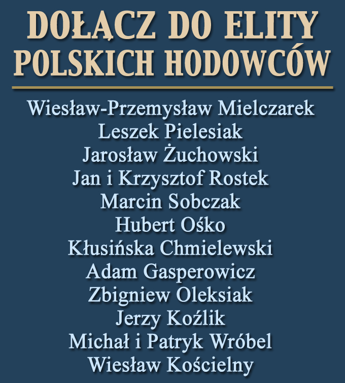 proste rodowody dla gołębi