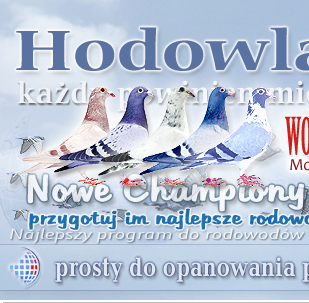 najlepszy program do rodowodów na WG oraz aukcje gołębi