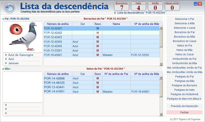 PROGRAMA de SOFTWARE e GESTÃO de POMBOS