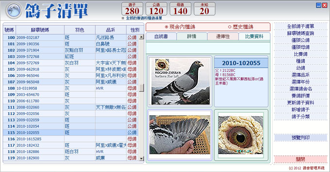 轉載怎樣選擇優秀賽鴿!