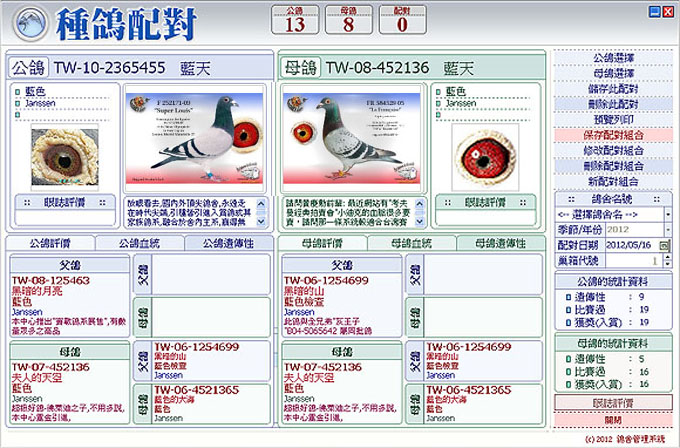 與血統最好的鴿子
