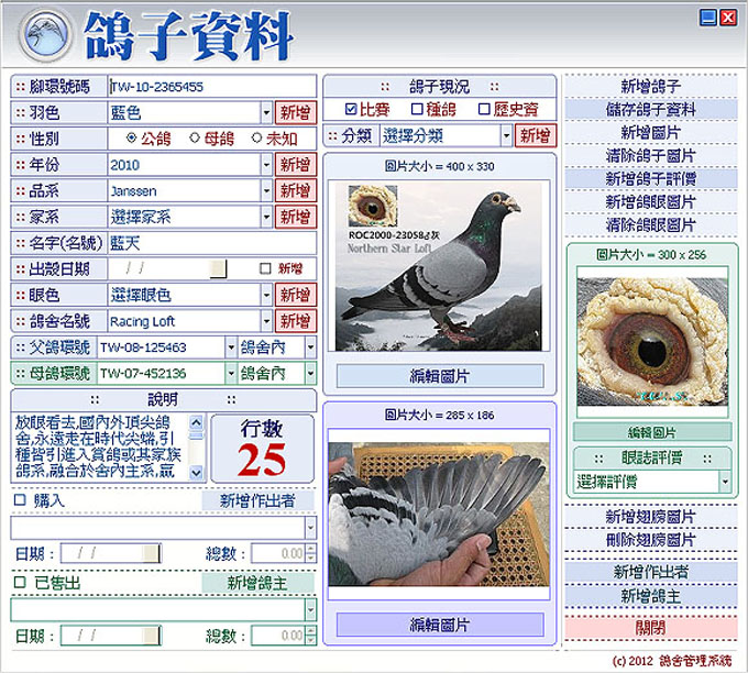 你需要了解每一隻鴿子的一切
