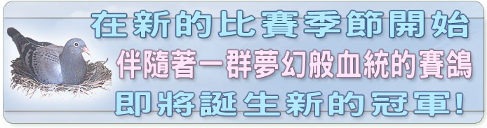賽鴿血統管理!